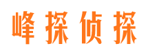 罗甸找人公司